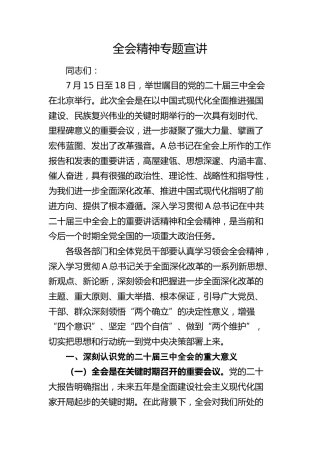 三中全会精神专题宣讲稿8200字（党课）