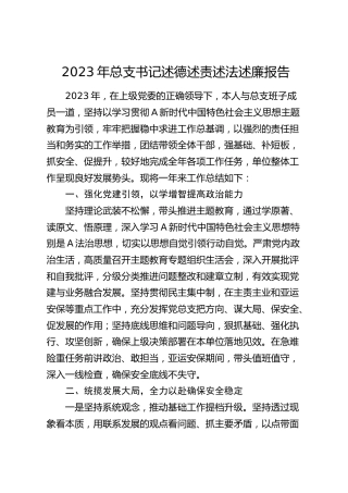 2023年总支书记述德述责述法述廉报告2200字