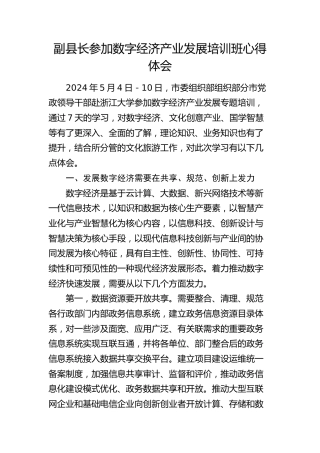 副县长参加数字经济产业发展培训班心得体会（发言）