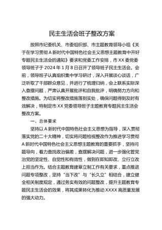 民主生活会班子整改方案4400字