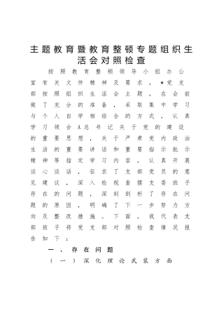 支部班子主题教育暨教育整顿专题组织生活会对照检查3800字