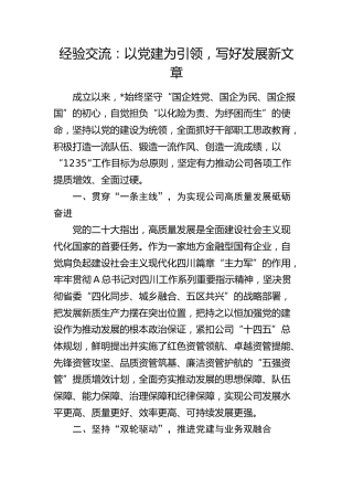 经验交流：以党建为引领，写好发展新文章（发言）