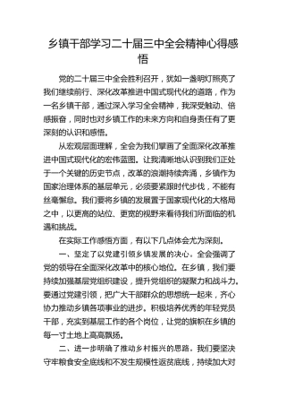 乡镇干部学习二十届三中全会精神心得体会发言(1)