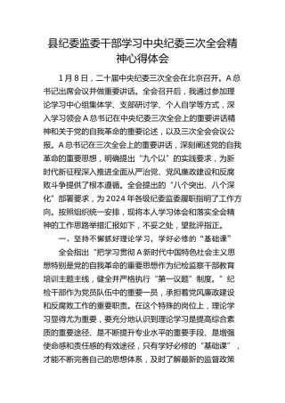 县纪委监委干部学习中央纪委三次全会精神心得体会（发言）