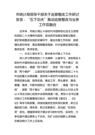 统计局巡察整改工作研讨发言：“五下功夫”推动巡察整改与业务工作双融合