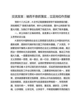 政绩观发言：驰而不息抓落实，立足岗位作贡献