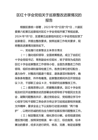 红十字会巡察整改进展情况报告（4100字总结）
