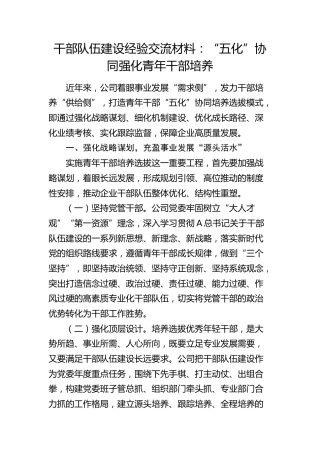 公司干部队伍建设经验交流材料：“五化”协同强化青年干部培养