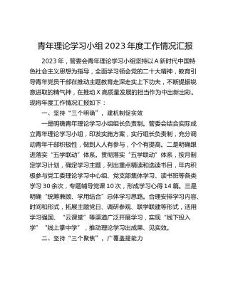 青年理论学习小组工作情况总结汇报