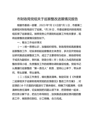 财政系统巡察整改进展情况总结报告