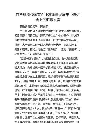 在2024年党建引领国有企业高质量发展年中推进会上的汇报发言（公司）