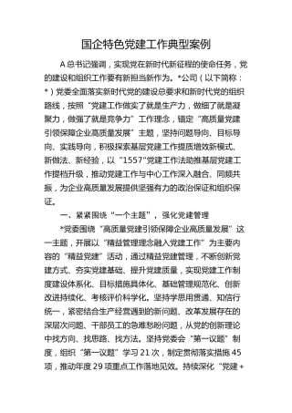 国企公司特色党建工作典型案例3600字（经验）