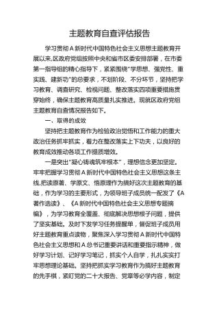 县区主题教育自查评估报告（3800字总结）