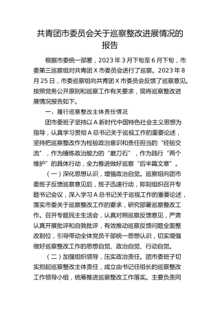 共青团市委员会巡察整改进展情况报告
