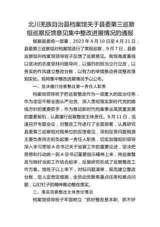 档案馆巡察反馈意见集中整改进展情况的报告1
