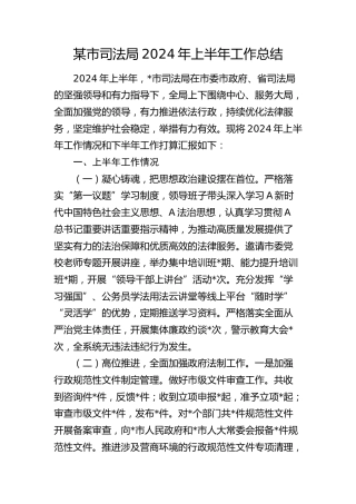 市司法局2024年上半年工作总结