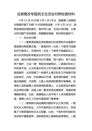 巡察整改专题民主生活会个人对照检查2600字（乡镇）