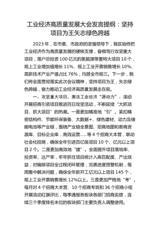 工业经济高质量发展大会发言：坚持项目为王 矢志绿色跨越