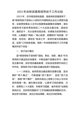2023年自然资源局领导班子工作总结