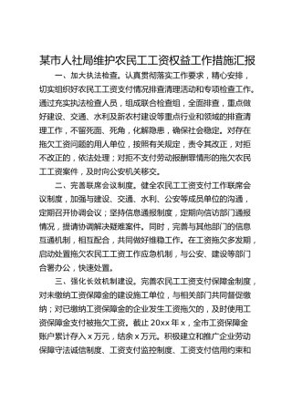 市人社局维护农民工工资权益工作措施汇报