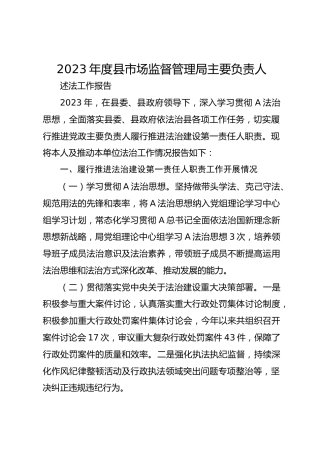 2023年度市场监管系统主要负责人述法报告