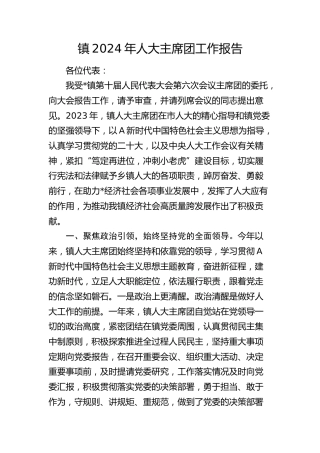 乡镇2024年人大主席团工作报告