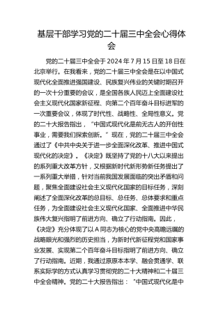 基层干部学习二十届三中全会心得体会发言2400字