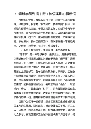 中青班学员到镇（街）体悟实训心得感悟（发言）