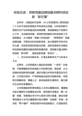 公司党建经验总结：深耕党建品牌创建 点燃科技创新“新引擎”