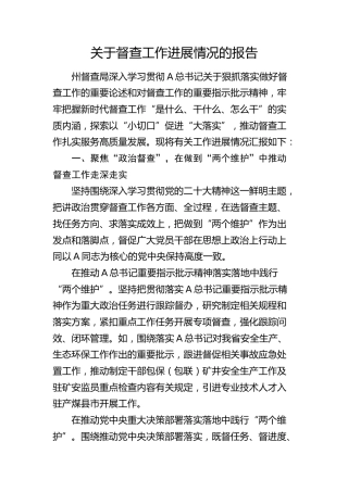督查工作进展情况总结报告