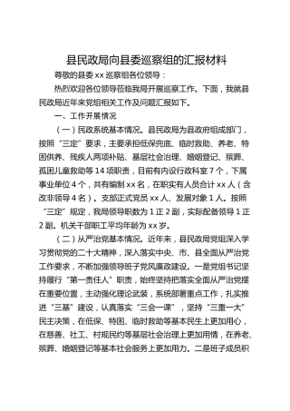 县民政局近年来工作情况向巡察组的汇报9800字