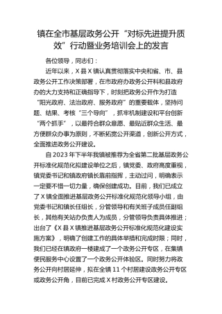 乡镇在全市基层政务公开“对标先进提升质效”行动暨业务培训会上的发言