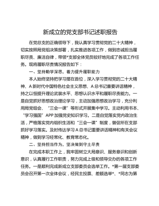 新成立的党支部书记述职报告1100字