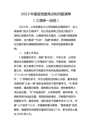 2023年公司党建亮点总结和问题清单（三清单一说明）