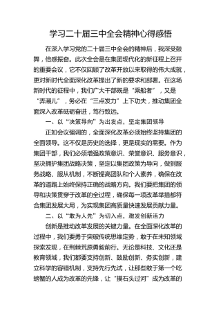 公司学习二十届三中全会精神心得感悟