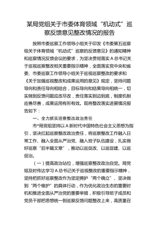 体育领域“机动式”巡察反馈意见整改情况的总结报告