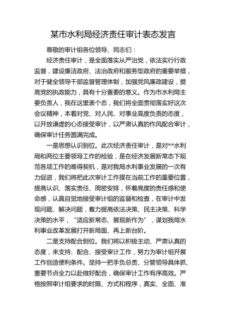 市水利局经济责任审计表态发言(1)
