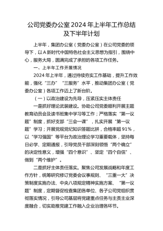公司党委办公室2024年上半年工作总结及下半年计划3300字