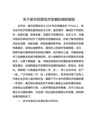 某市民营经济发展的调研报告