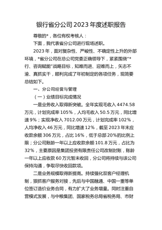 银行省分公司2023年度述职报告（总结）