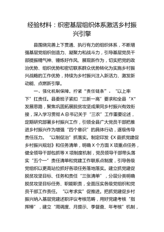 经验总结：织密基层组织体系激活乡村振兴引擎