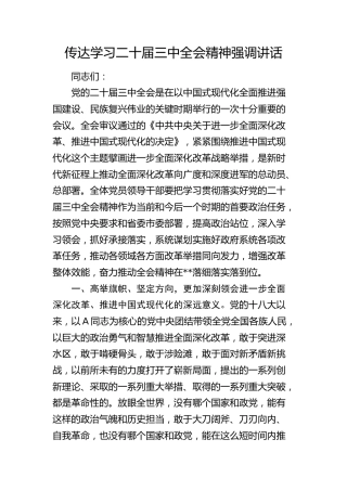 在传达学习二十届三中全会精神强调讲话（市1900字）