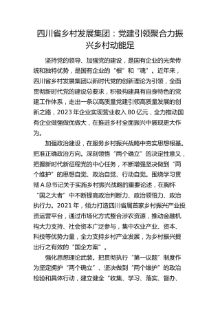 乡村发展公司：党建引领聚合力 振兴乡村动能足