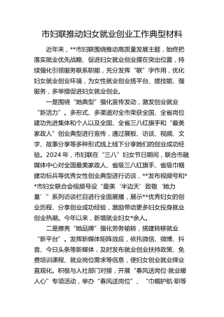 市妇联推动妇女就业创业工作典型经验总结