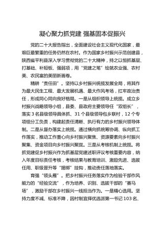 乡村振兴经验发言：凝心聚力抓党建 强基固本促振兴