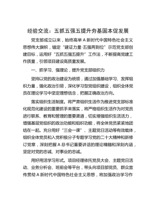 经验交流：五抓五强五提升 夯基固本促发展