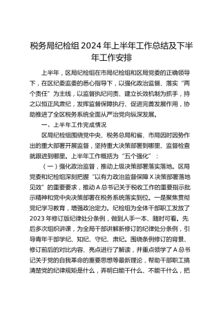 税务局纪检组2024年上半年工作总结4700字