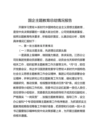 国企公司主题教育总结报告3800字