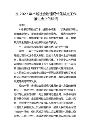 在市域社会治理现代化试点工作推进会上的讲话