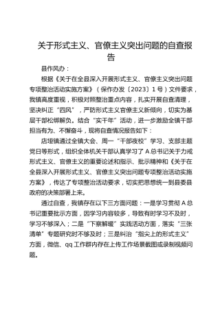 形式主义、官僚主义问题自查报告（乡镇）
